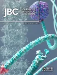 Journal of Biological Chemistry cover