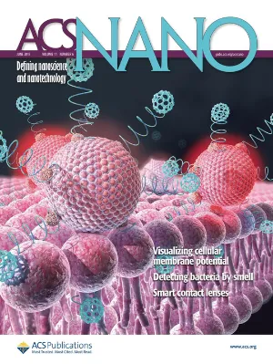 ACS Nano cover