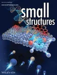 Small Structures cover