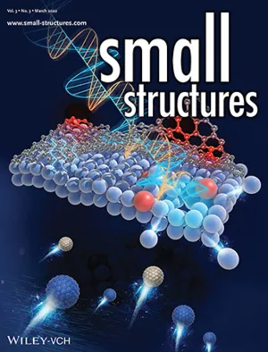 Small Structures cover