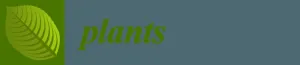 Plants cover