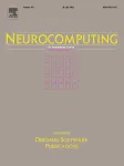 Neurocomputing cover