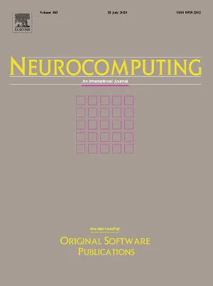 Neurocomputing cover