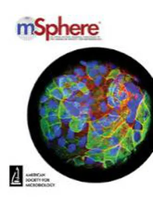 mSphere cover