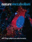 Nature Metabolism cover