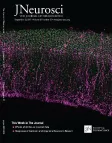 Journal of Neuroscience cover