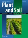 Plant and Soil cover