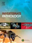 Journal of Invertebrate Pathology cover