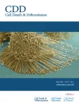 Cell Death and Differentiation cover