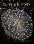 Current Biology cover