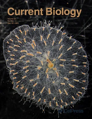 Current Biology cover