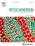 MITOCHONDRION cover