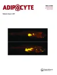 Adipocyte cover