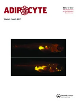 Adipocyte cover
