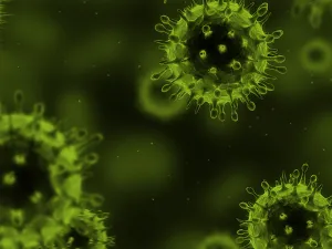 Journal of General Virology cover