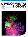 Developmental Biology cover