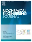 Biochemical Engineering Journal cover