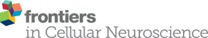 Frontiers in Cellular Neuroscience cover
