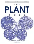 Plant Cell cover