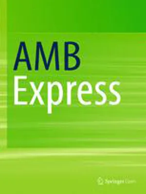 AMB Express cover