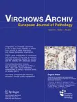 Virchows Archiv cover