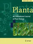 Planta cover