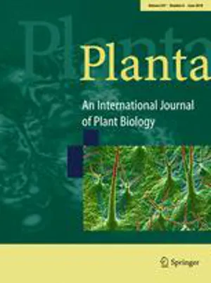 Planta cover