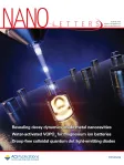 Nano Letters cover