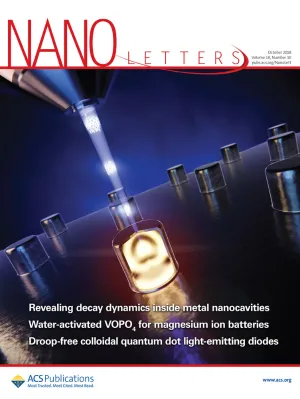 Nano Letters cover