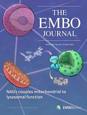 EMBO Journal cover