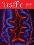 Traffic cover