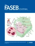 FASEB Journal cover