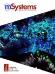 mSystems cover