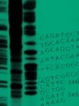 Microbial Genomics cover