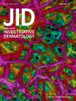 Journal of Investigative Dermatology cover
