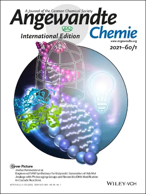 Angewandte Chemie International Edition cover